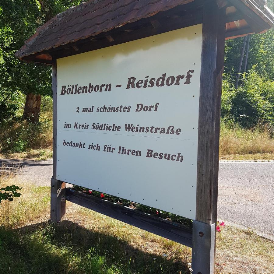 Ferienhaus Alexandra Bollenborn Exteriör bild